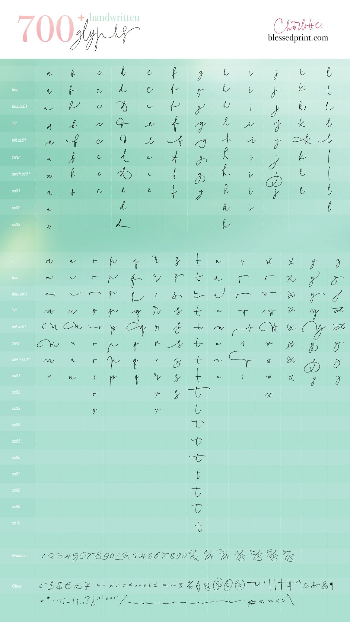 Charlotte Script Elegant Script with 120 Ligatures