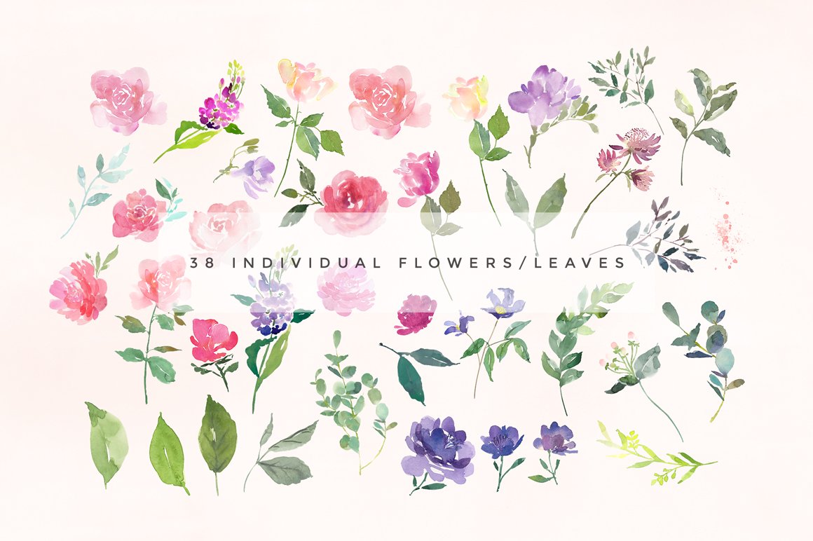 Elouise - Large Floral Clipart Set