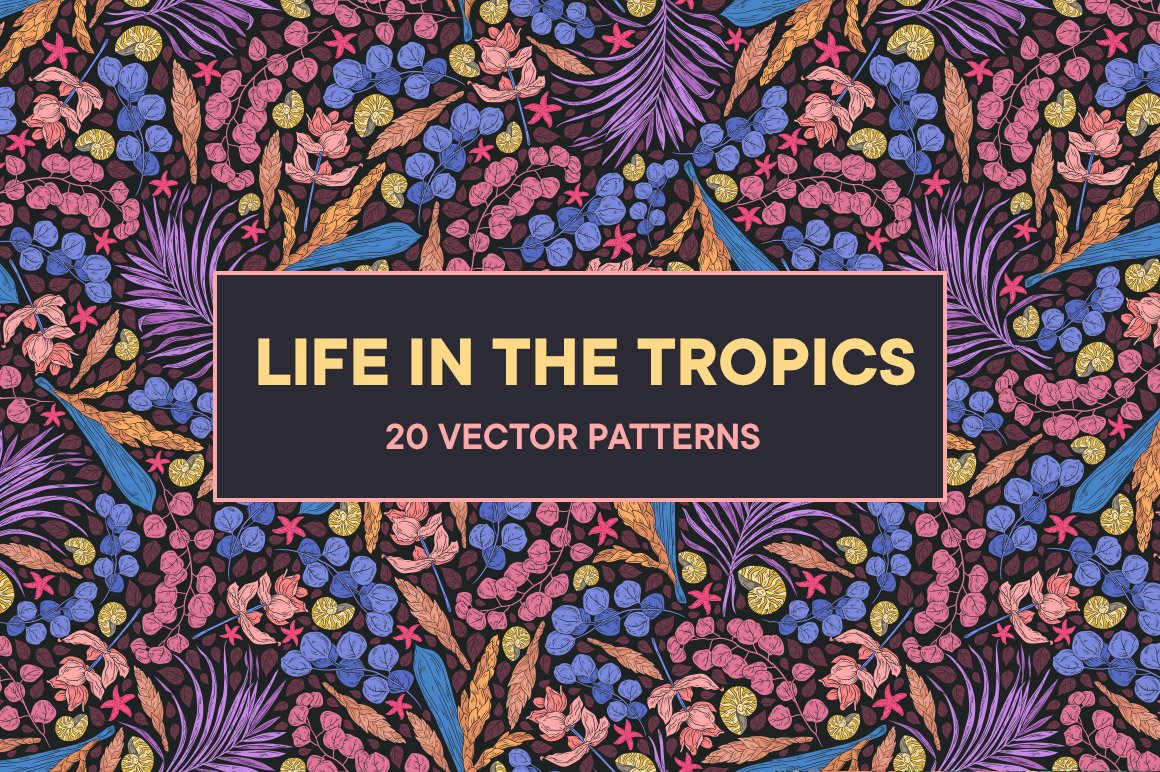 Life In The Tropics Patterns
