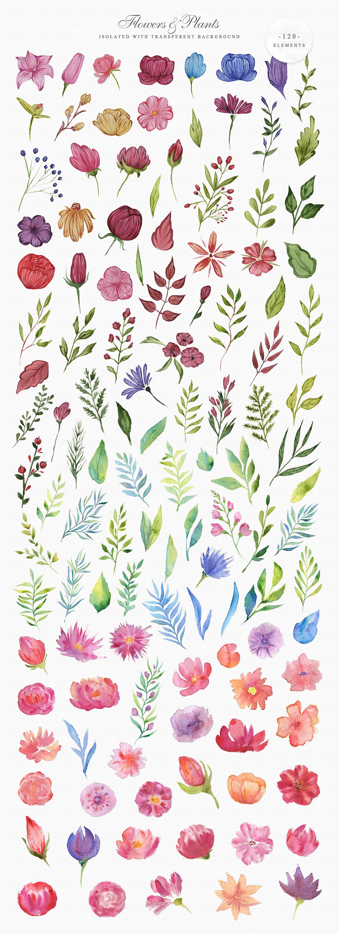 Spring Garden Watercolor Collection