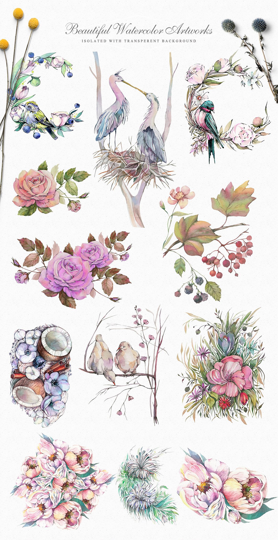 Spring Garden Watercolor Collection