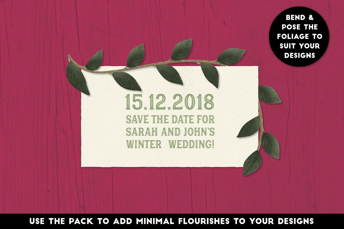 The Vector Florist - Brushes Winter