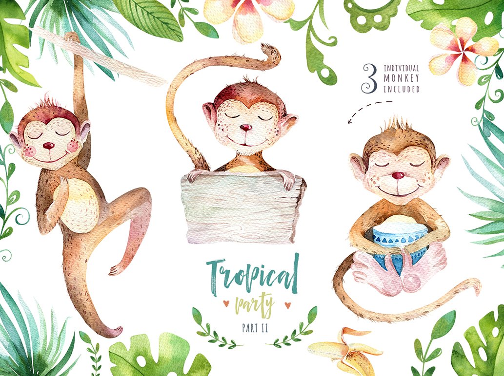 Tropical Party II Monkey Collection