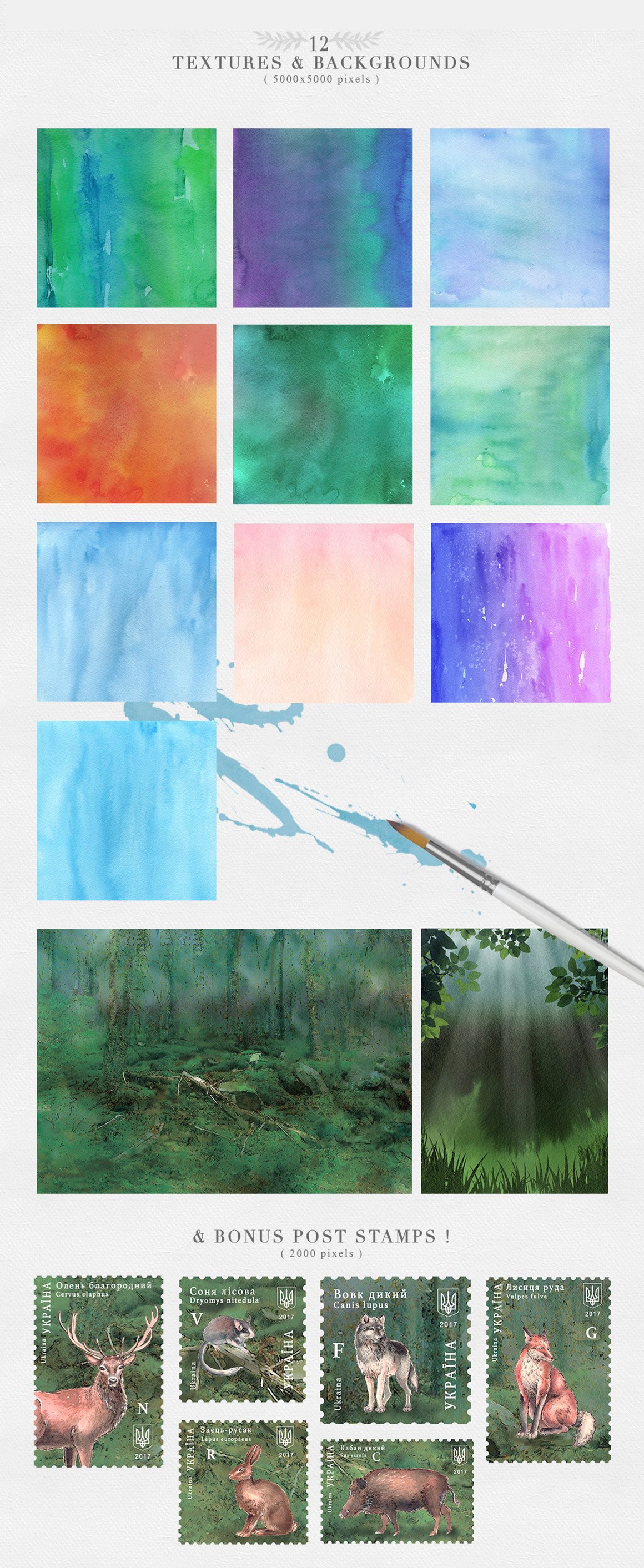 Wild Forest Watercolor Collection