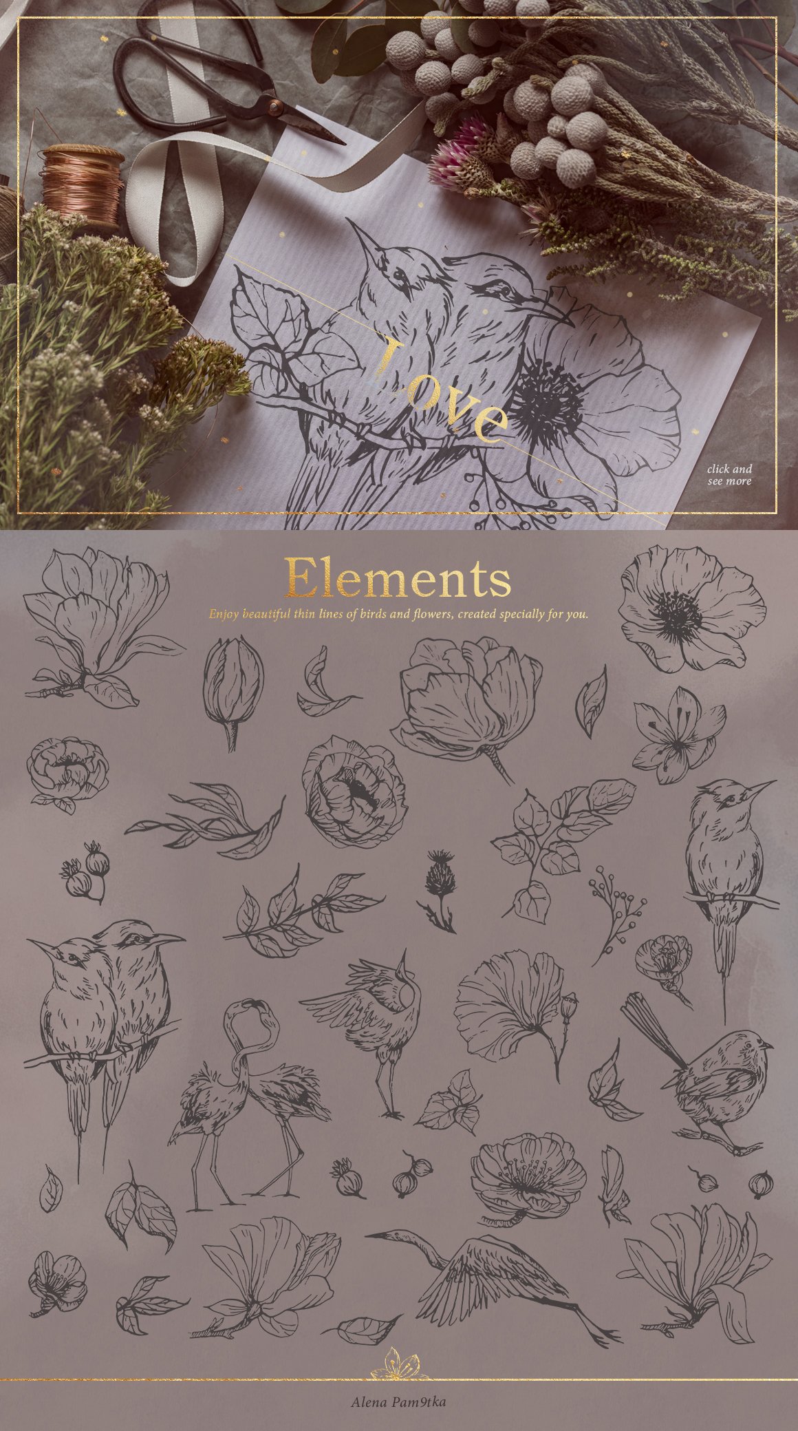 Bird Outlines & Floral Patterns