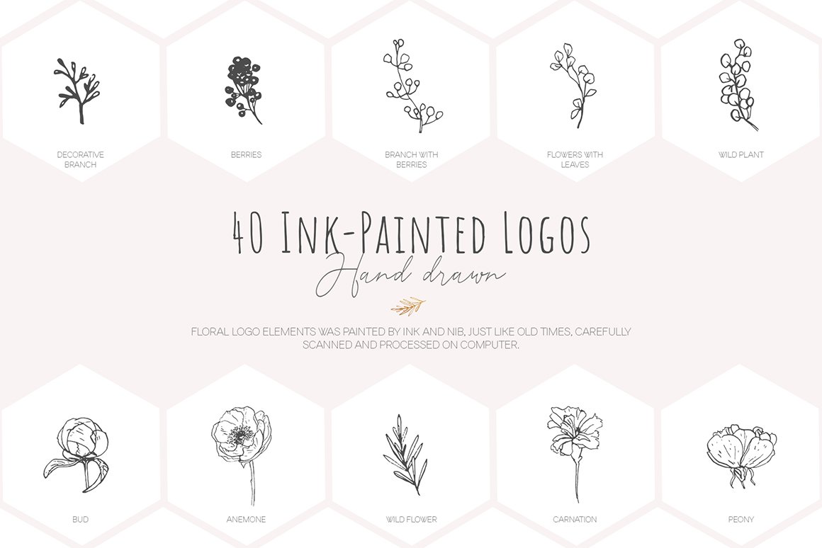 Hand drawn floral logo elements