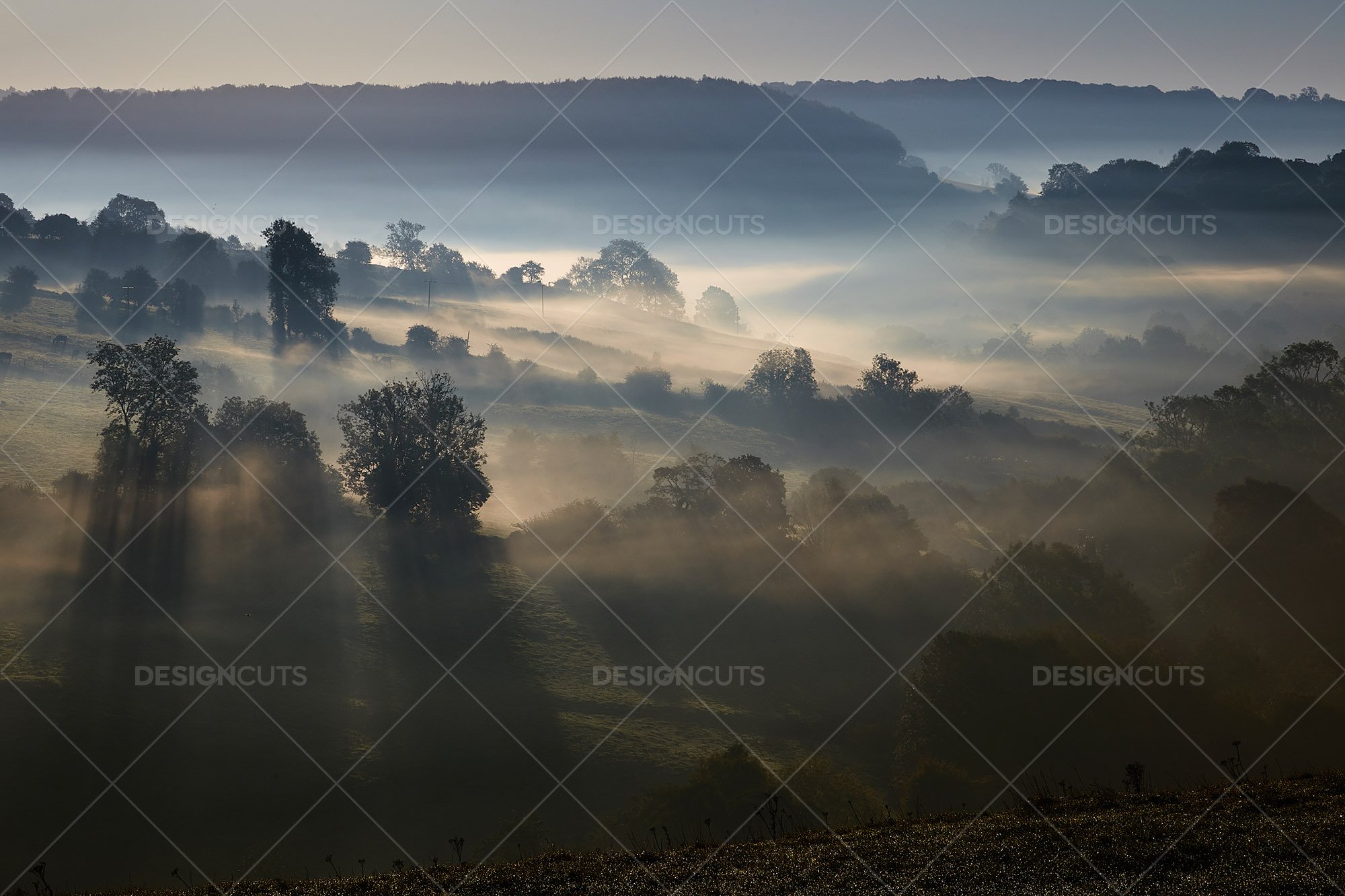 Misty British Country Hillsides At Dawn 12