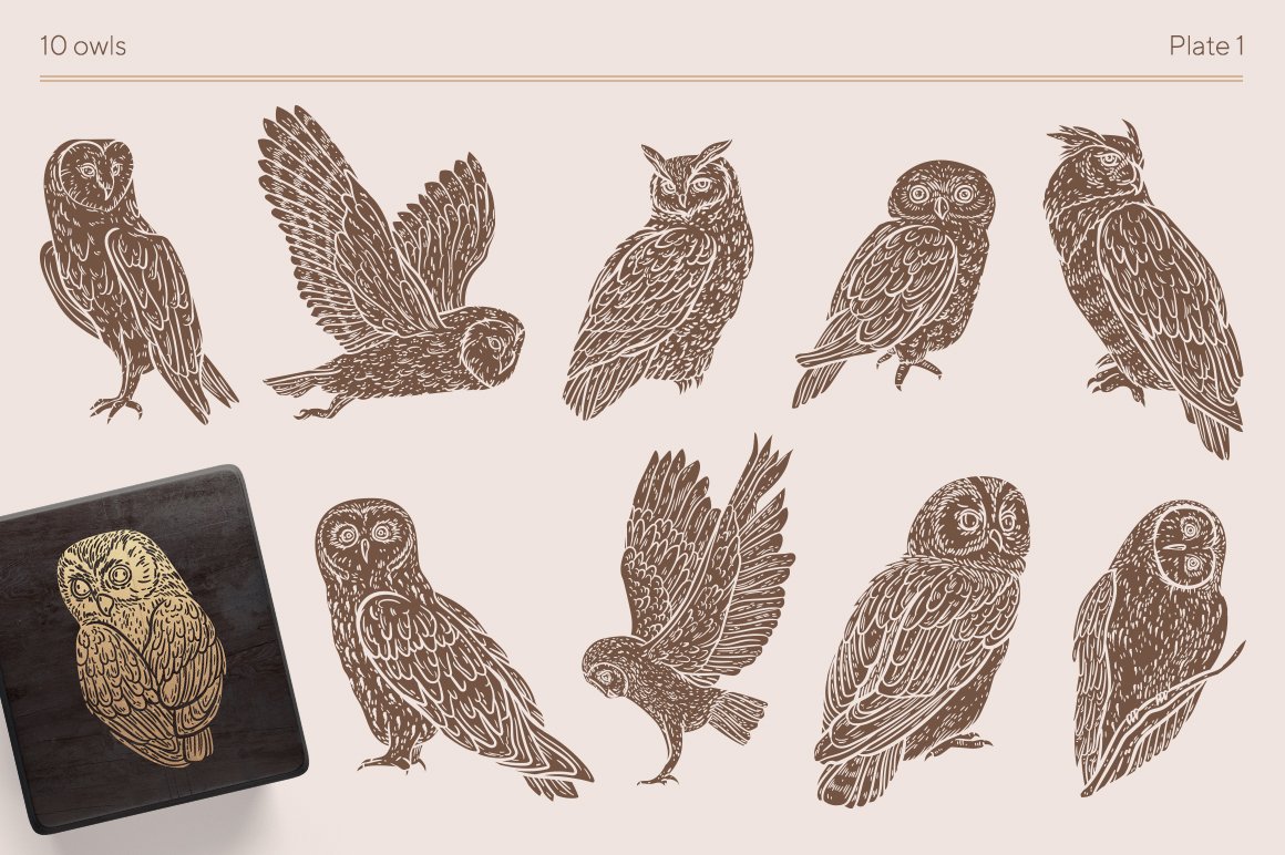 Owls Graphic Collection