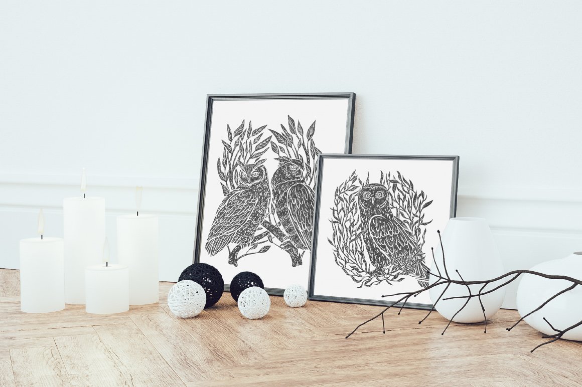 Owls Graphic Collection