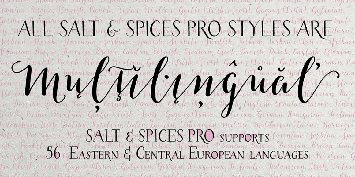 Salt & Spices Pro a Professional Script Font