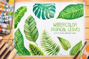 Tropical Leaves Watercolor Vector