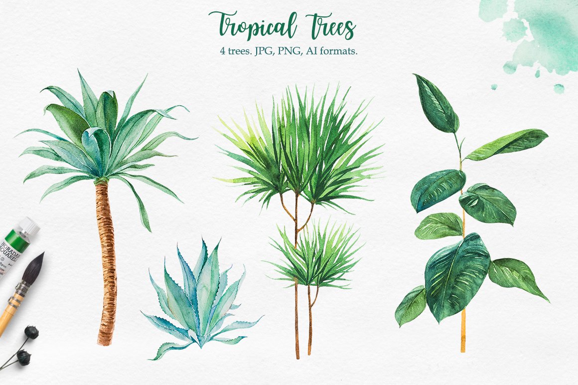 Tropical Watercolor Illustrations