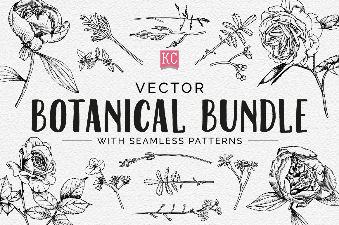 Vector Botanical Illustrations