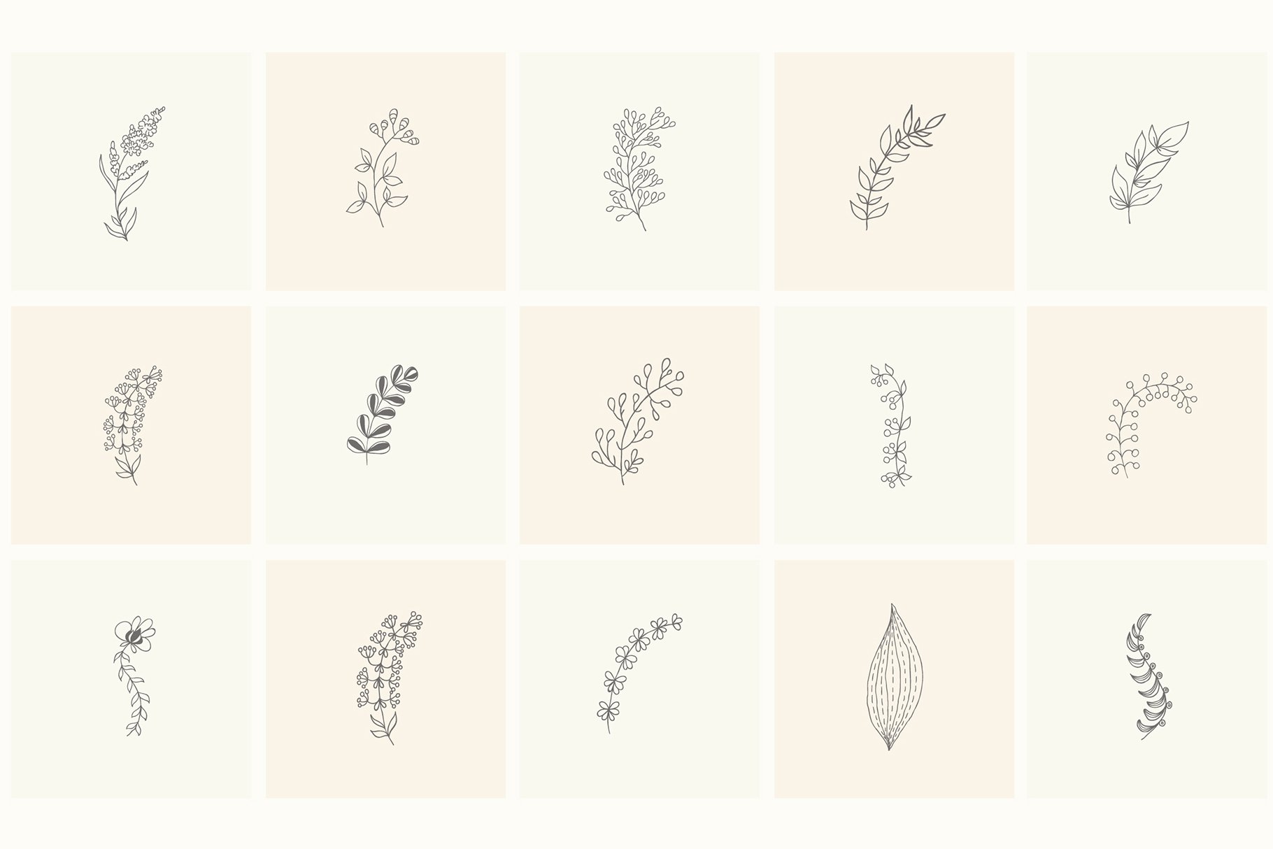 200 Hand Drawn Floral Elements And Frames