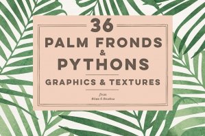 36 Palm Fronds & Pythons