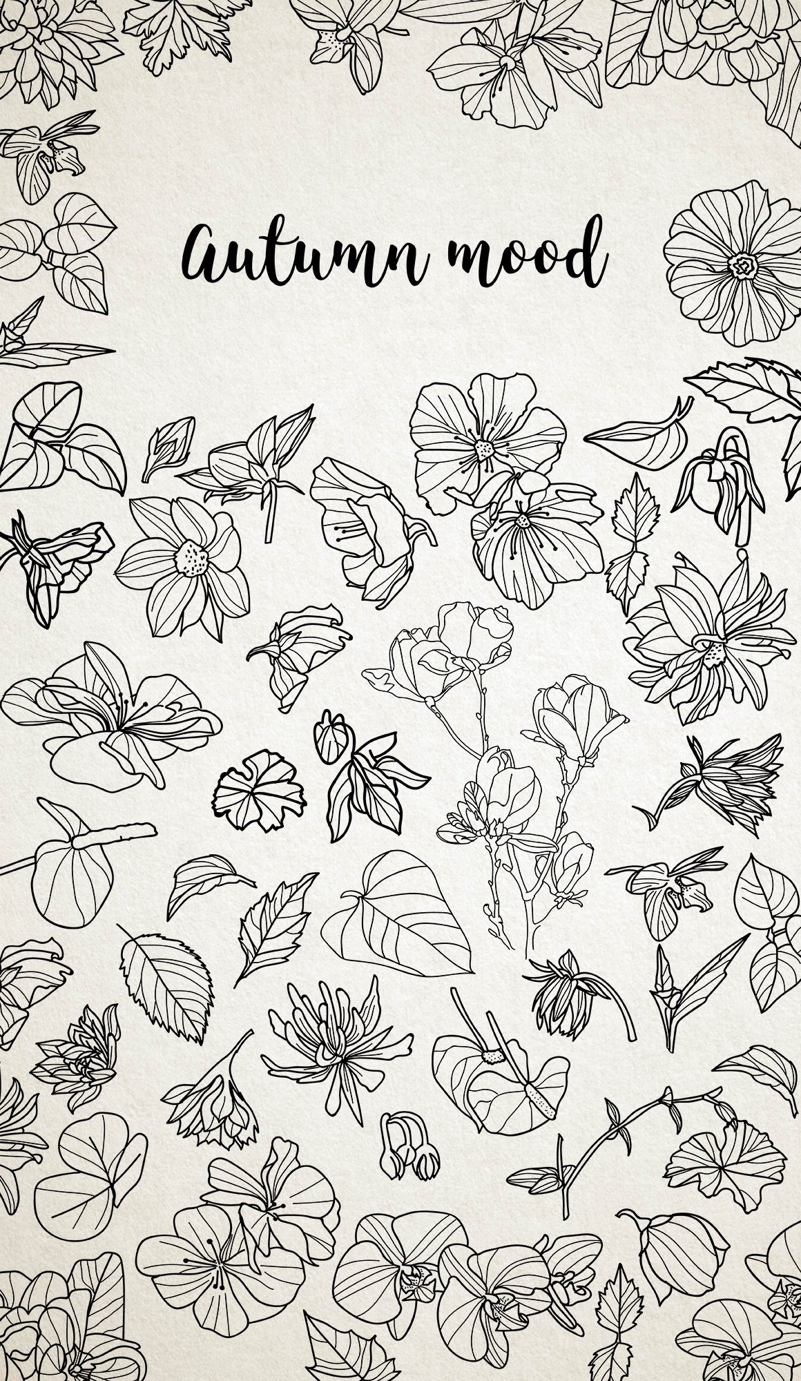 50 Hand-drawn Floral Elements and Patterns