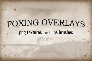 Foxing Overlays - Textures And Brushes