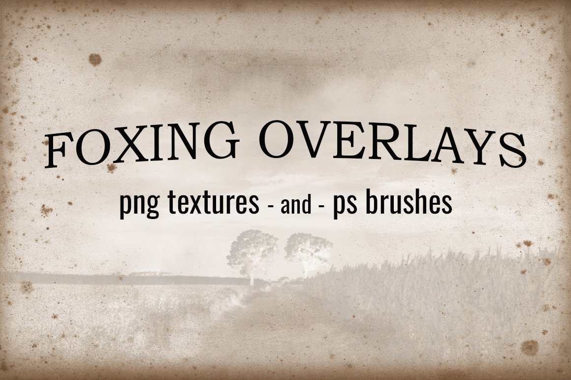 Foxing Overlays – Textures And Brushes