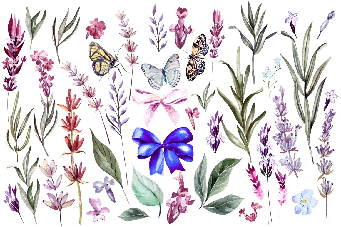 Hand Drawn Watercolor Lavender Flowers Pack