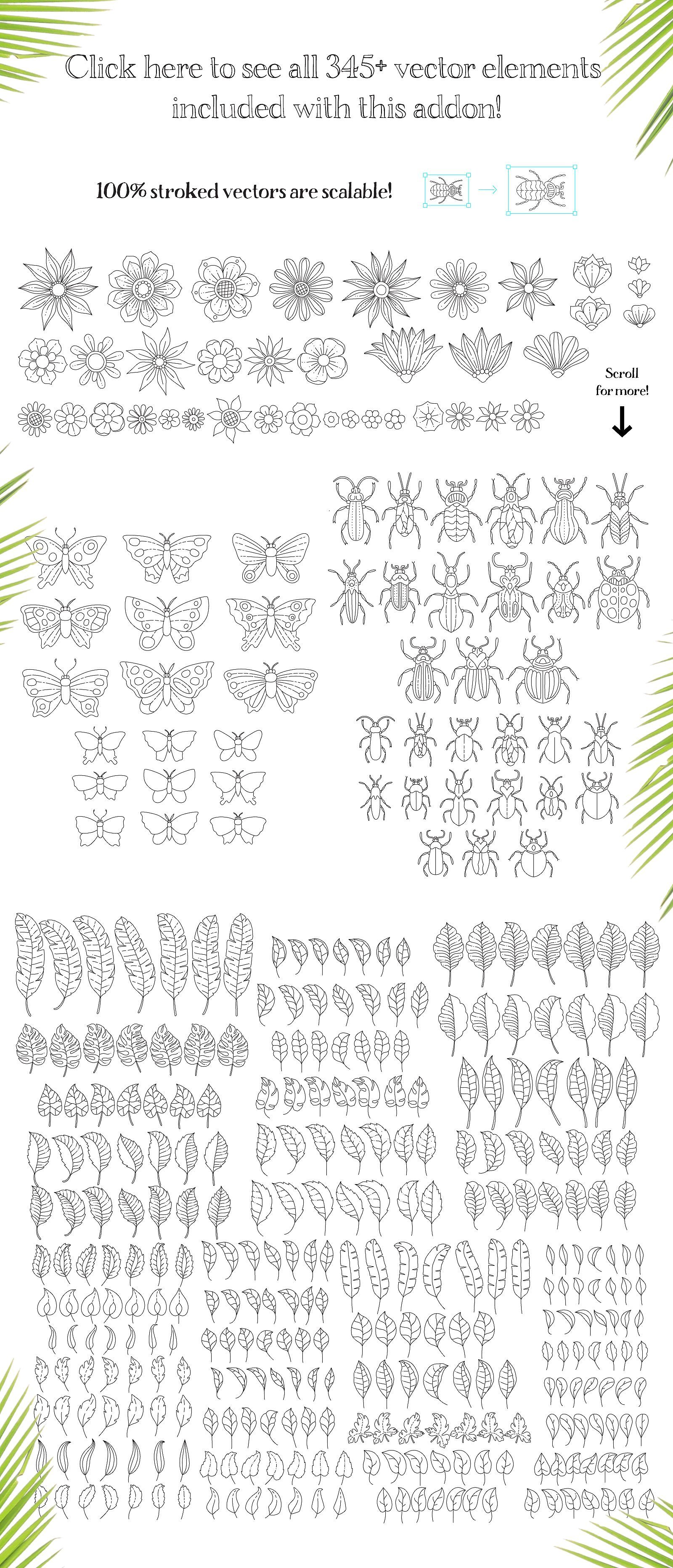 Rainforest Mandala Illustration Creator