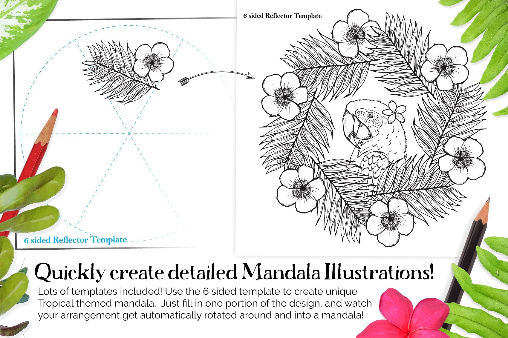 Tropical Paradise Mandala Creator For Illustrator