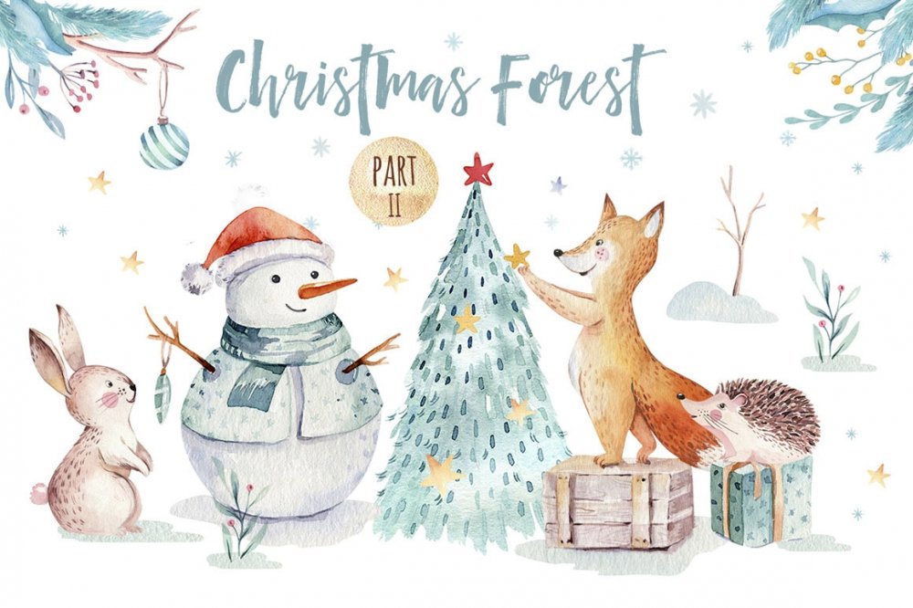 Watercolor Christmas Floral Illustrations Set - Design Cuts