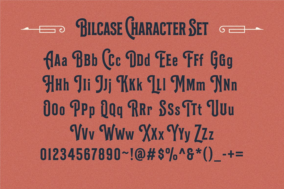 Bilcase Vintage Display Font Family