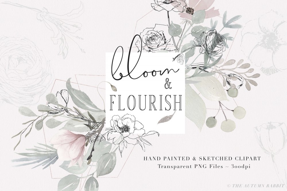 Bloom and Flourish – Botanical Clipart