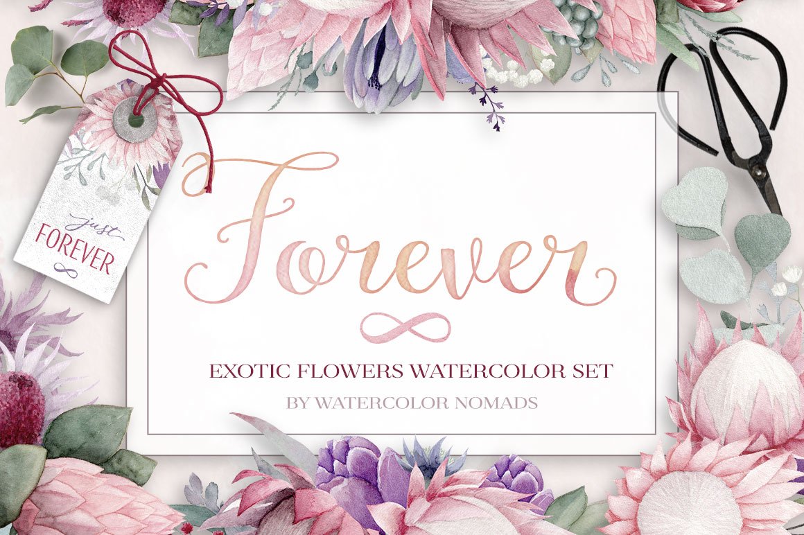 Exotic Tropical Watercolor Flowers Collection
