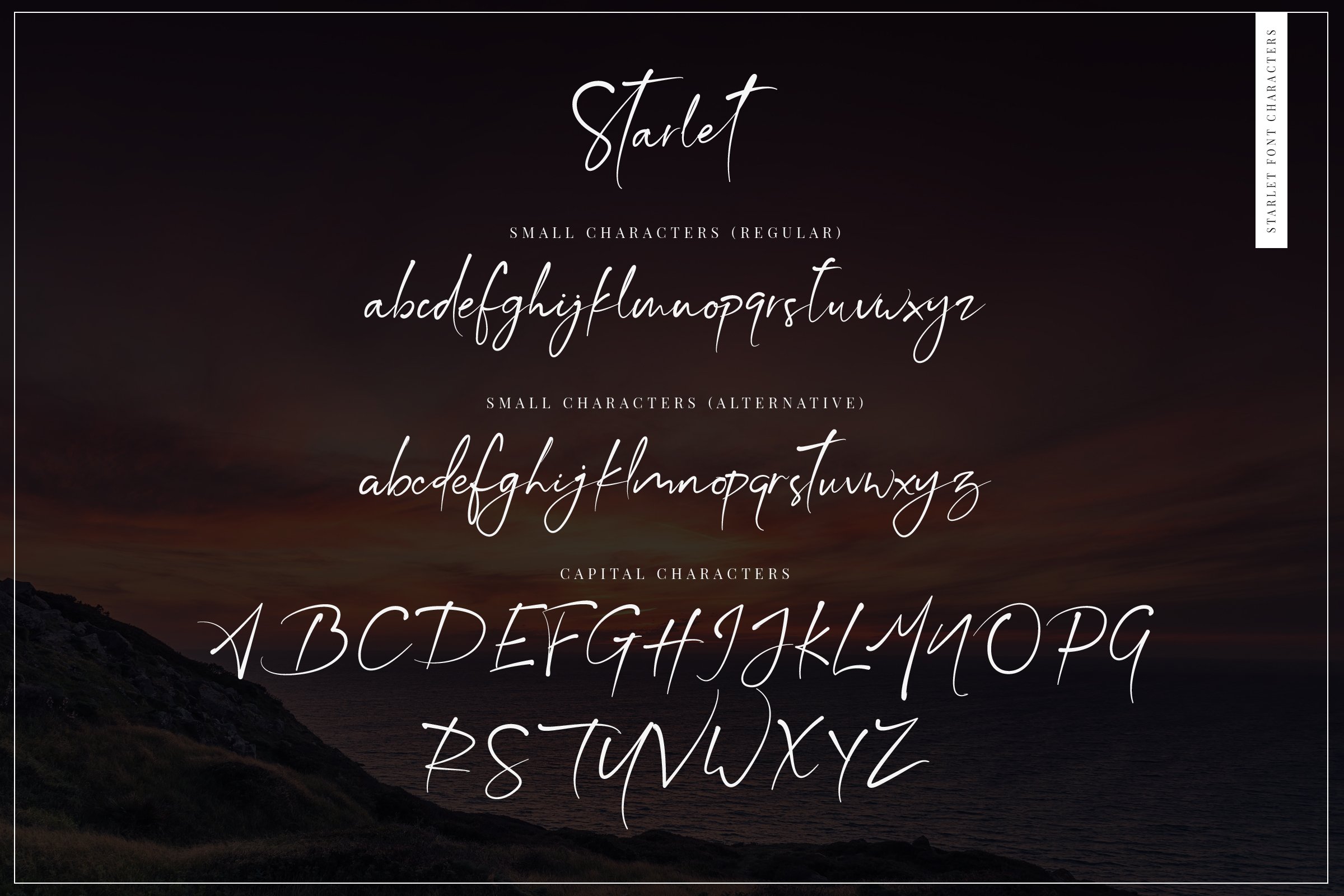 Starlet Script Font + 12 Logos