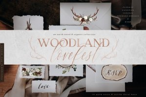 Woodland Love Fest