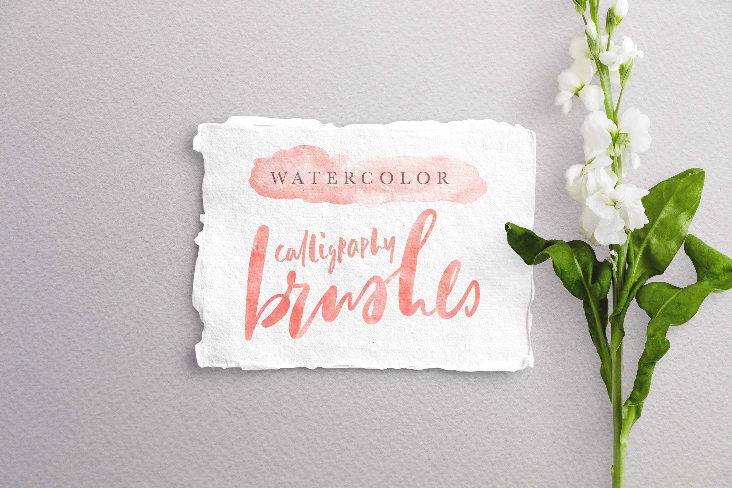 10 Procreate Watercolor Calligraphy Brushes