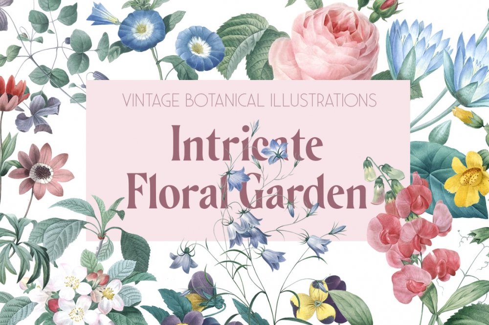 Vintage Botanical Illustrations – Intricate Flora