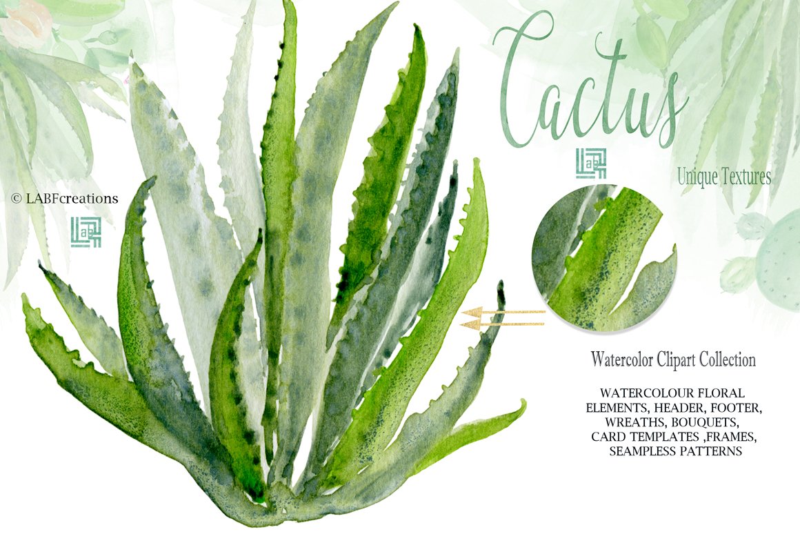 Cactus & Aloe Watercolor Clipart