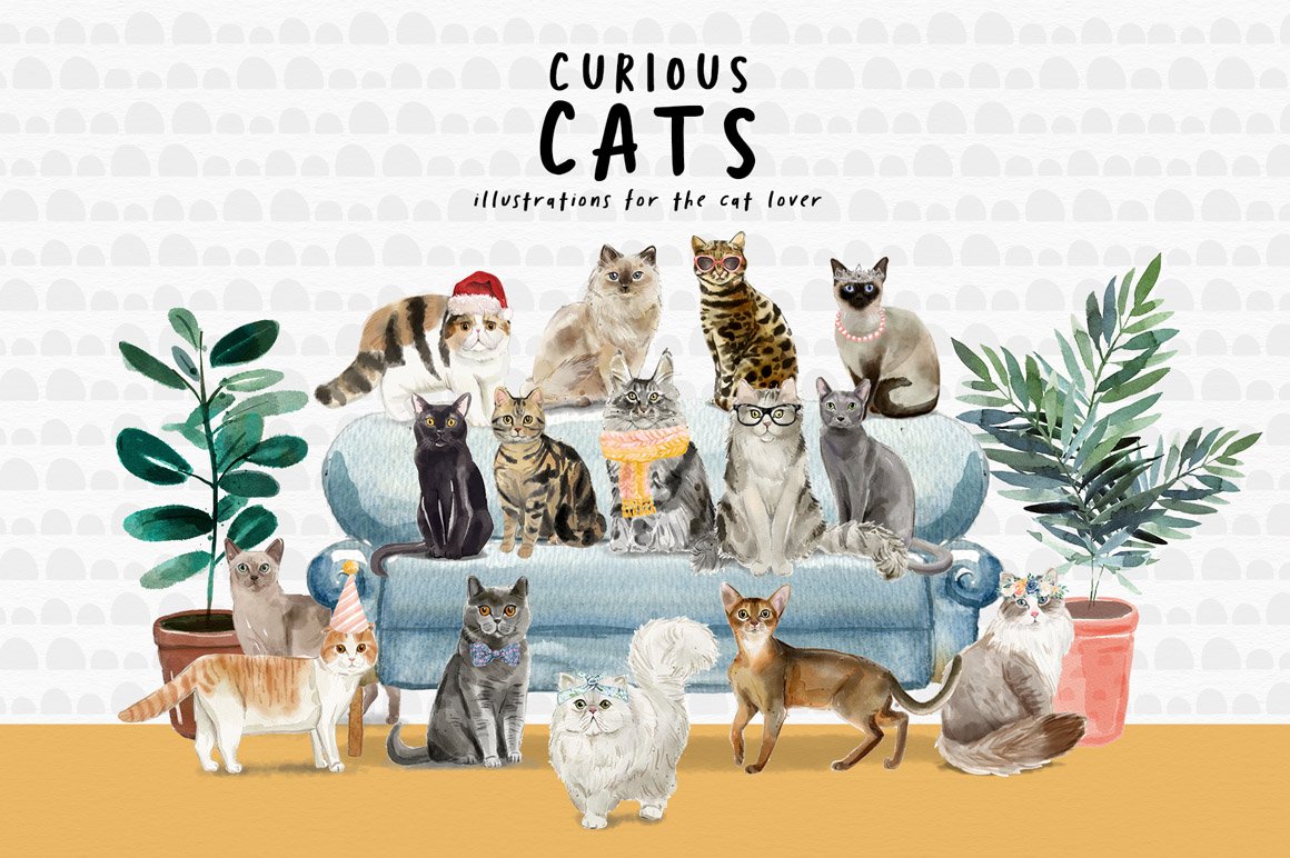 Curious Cats - Cat Illustrations