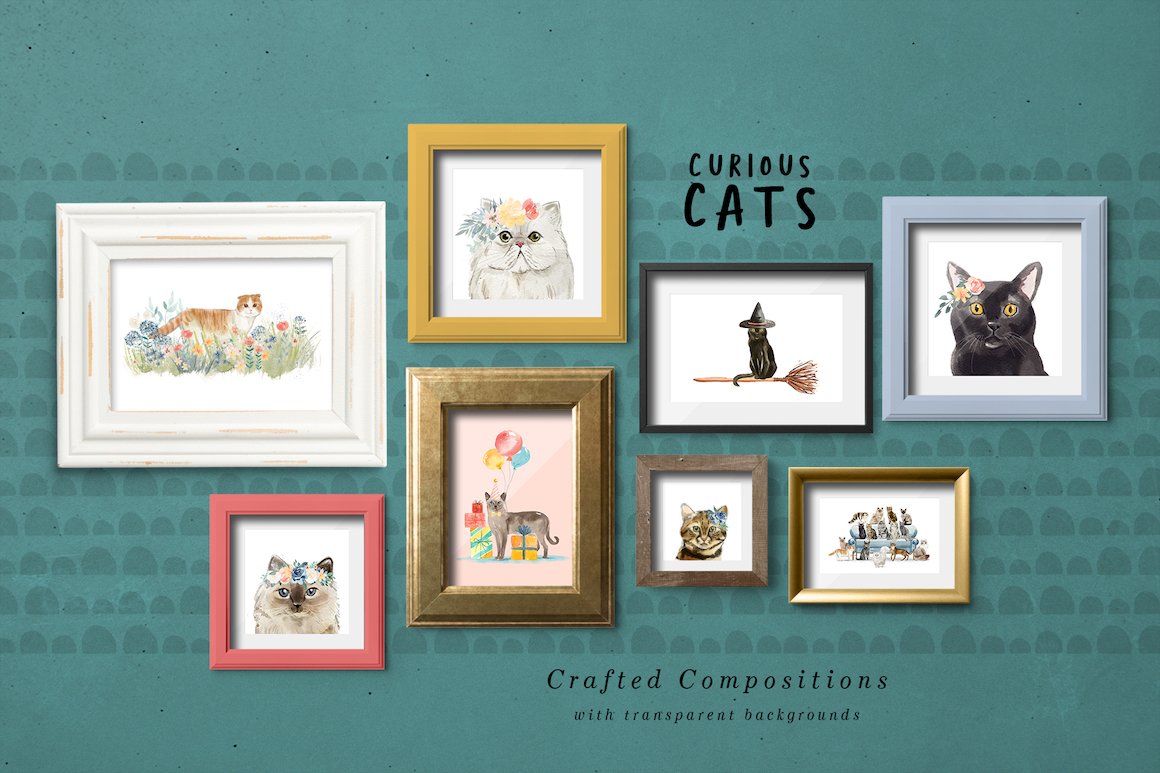 Curious Cats - Cat Illustrations