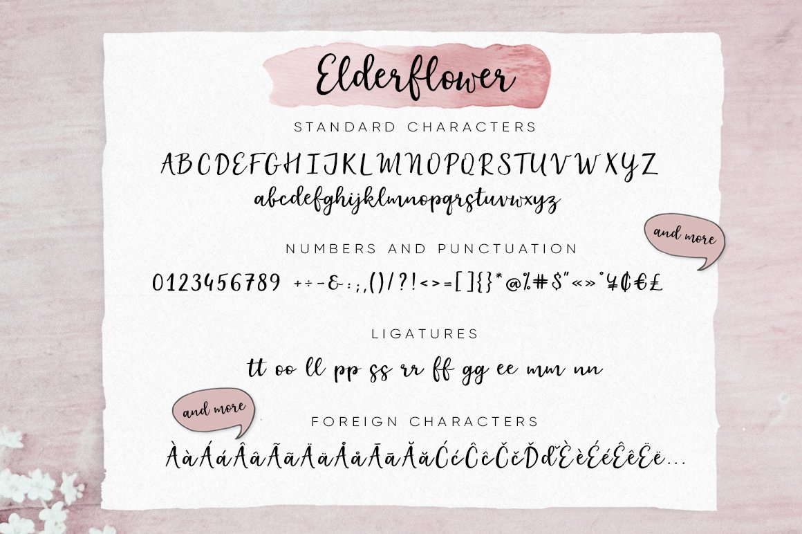 Elderflower Script Font, Logos & Illustrations