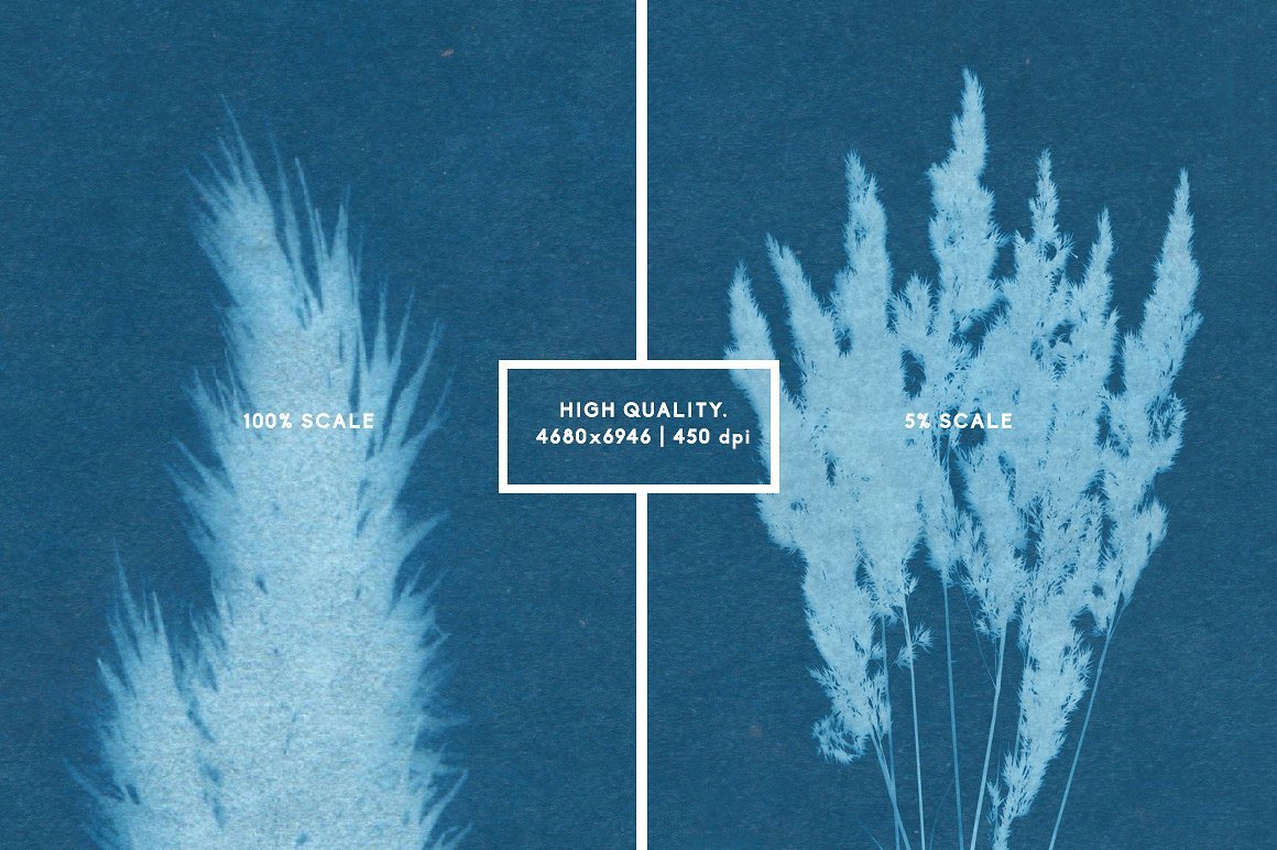 Floral Cyanotype Backgrounds