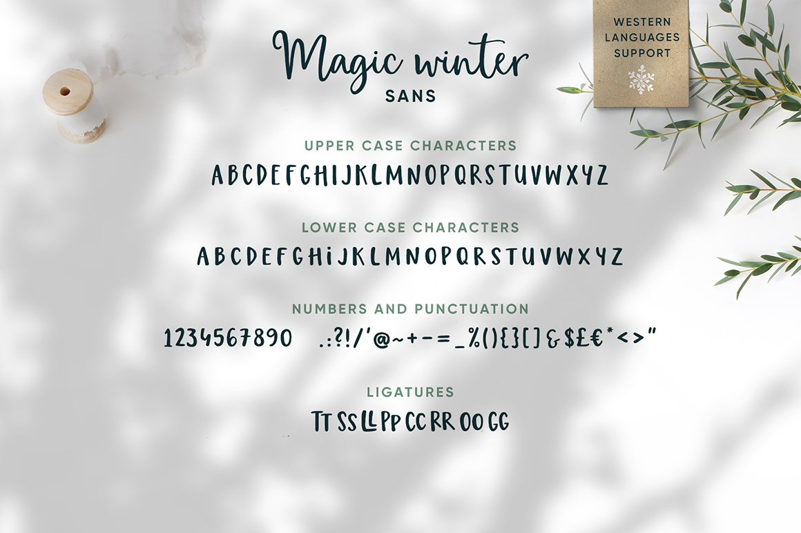Magic Winter Script Font Duo & Logos