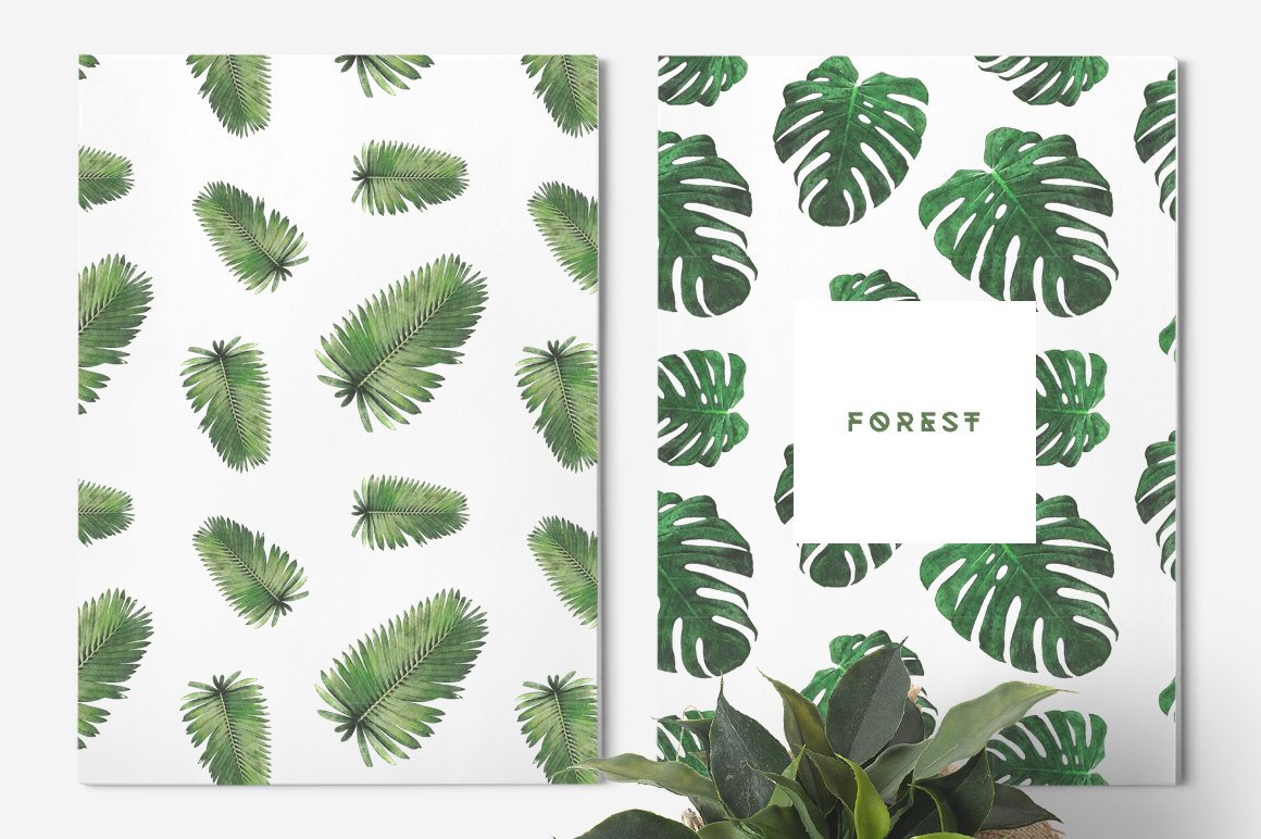 Plants & Foliage Patterns