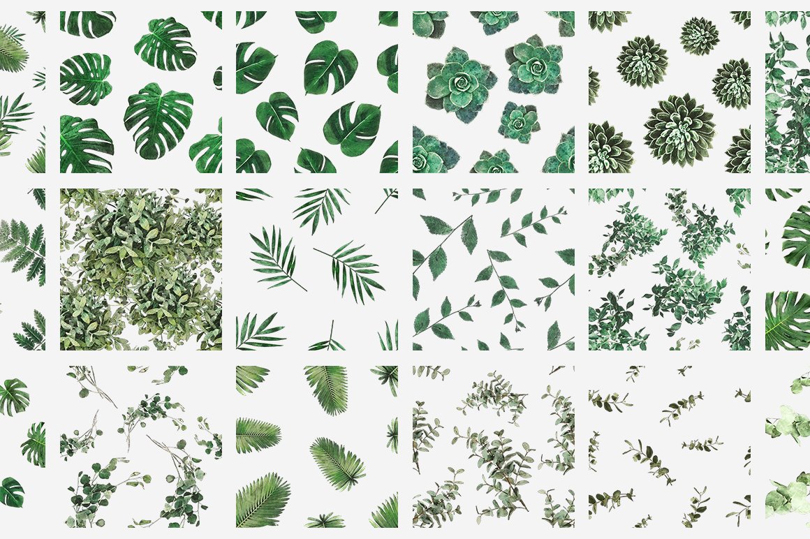 Plants & Foliage Patterns
