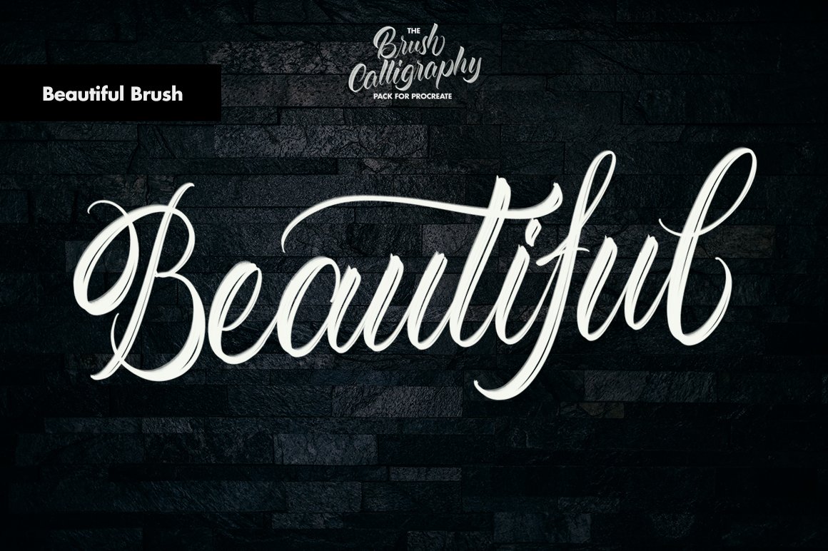 The Brush Calligraphy Procreate Pack