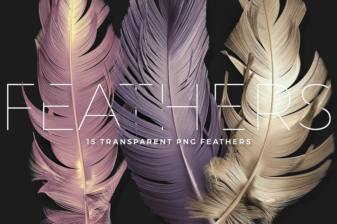 Transparent Feathers Pack