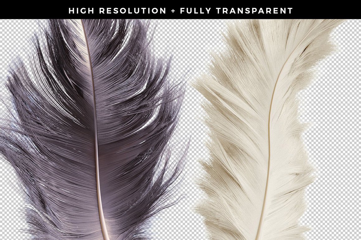 Transparent Feathers Pack