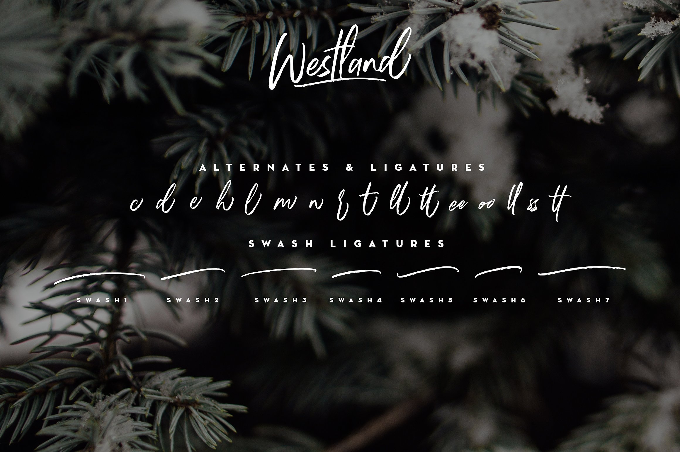 Westland Handstylish Font