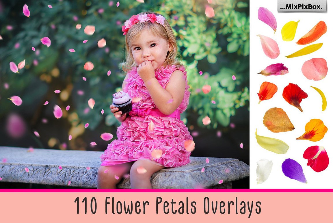 110 Flower Petals Photo Overlays