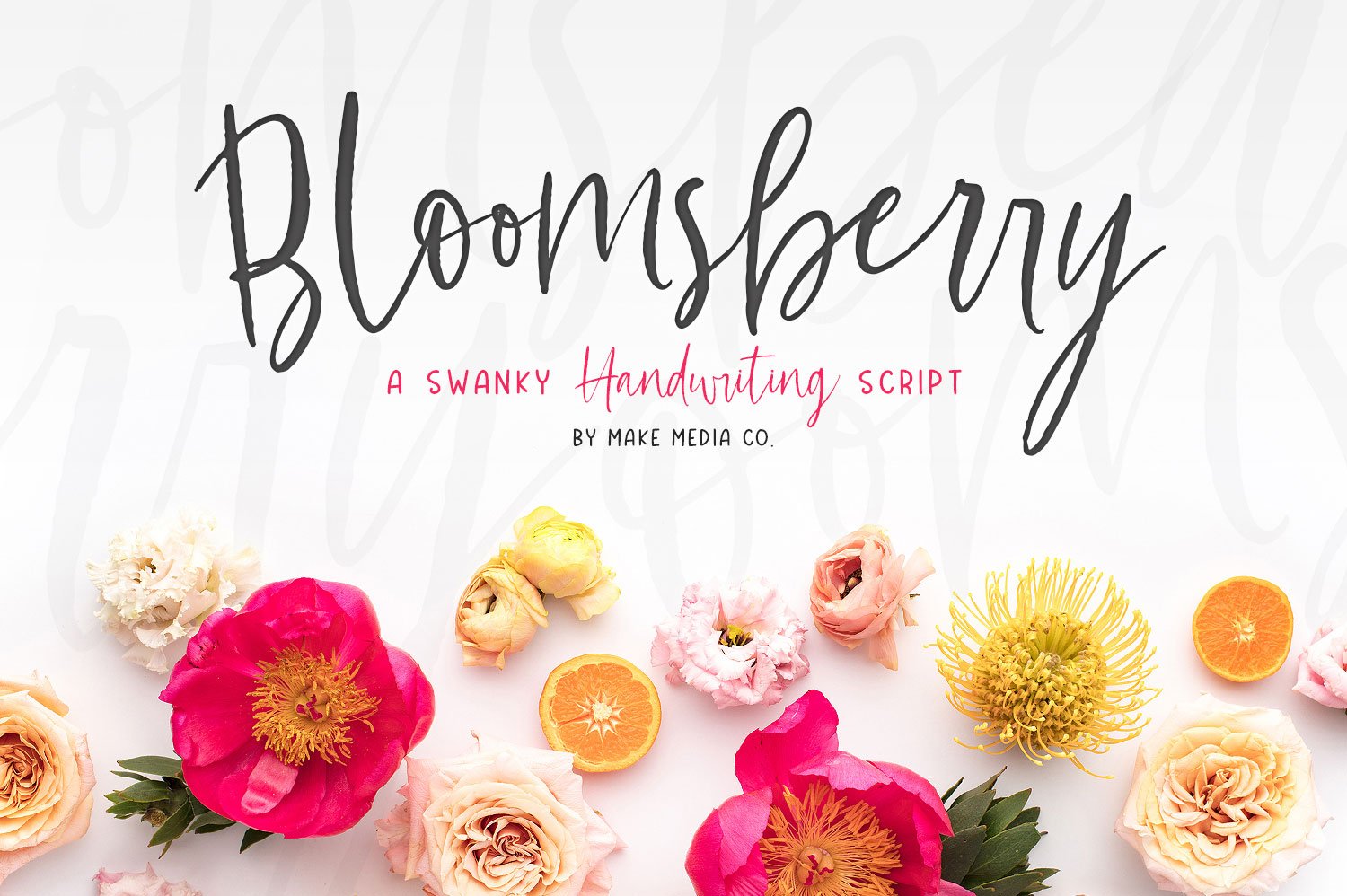 Bloomsberry Type & Graphics