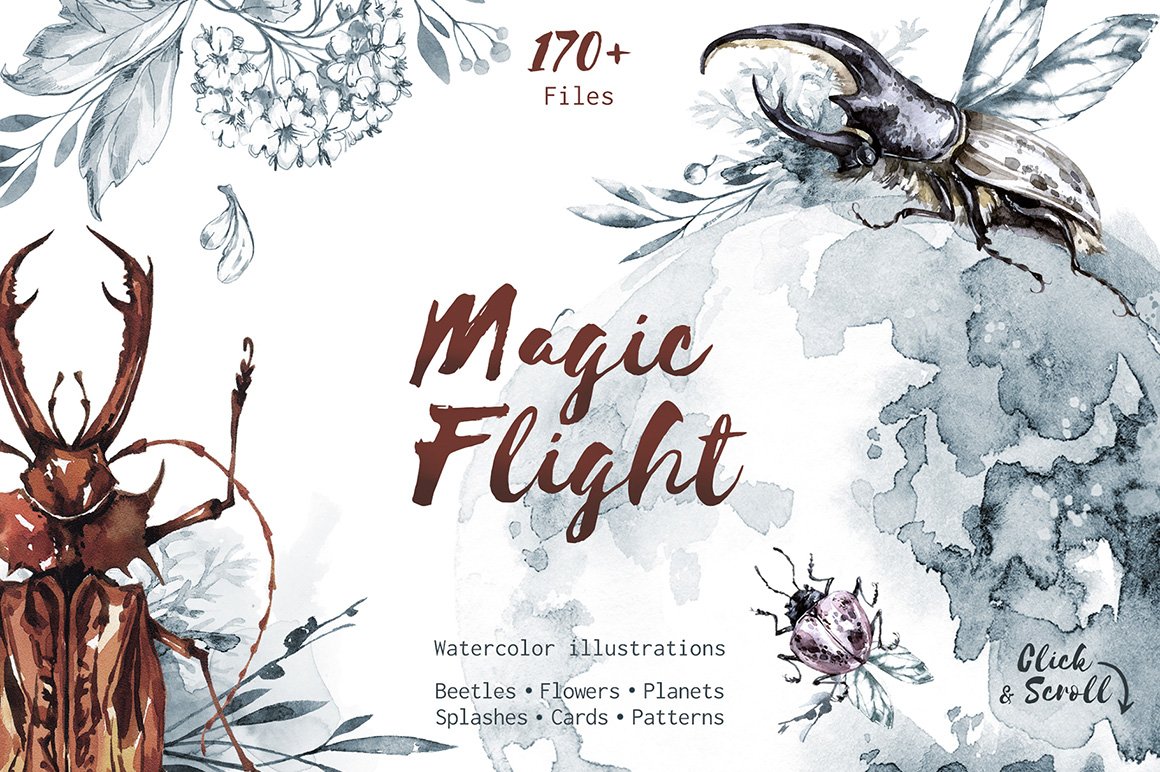 Magic Flight Watercolor Collection