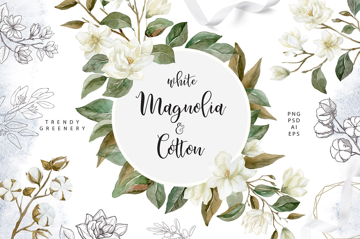 White Magnolia And Cotton