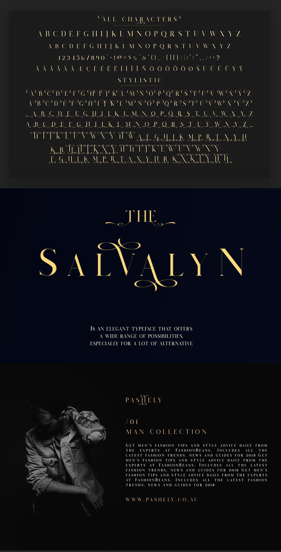 Salvalyn - Stylistic Serif Font